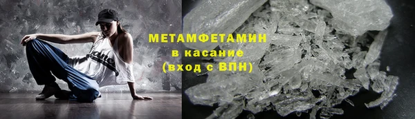 прущие грибы Струнино