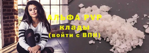 хмурый Бородино