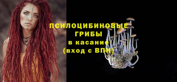 ГАЛЛЮЦИНОГЕННЫЕ ГРИБЫ Бугульма