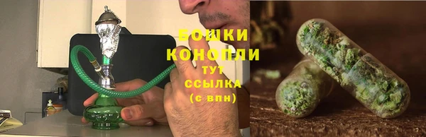 ГАЛЛЮЦИНОГЕННЫЕ ГРИБЫ Бугульма