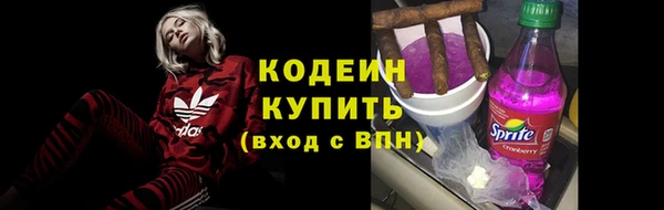 молекула духа Богданович