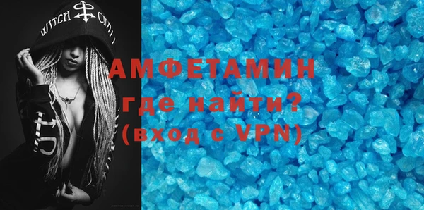 молекула духа Богданович