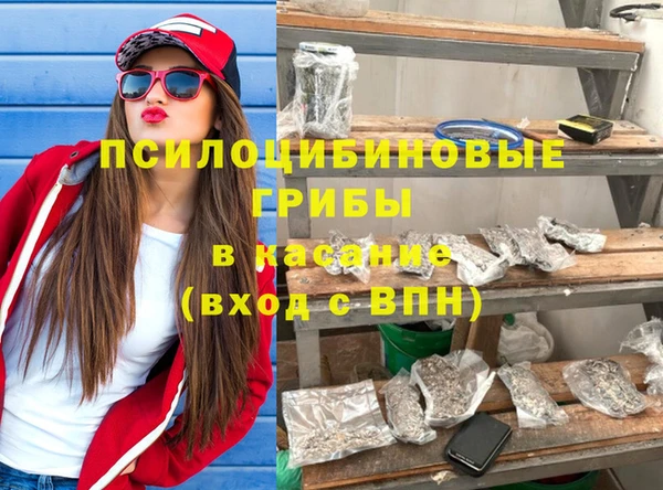 молекула духа Богданович