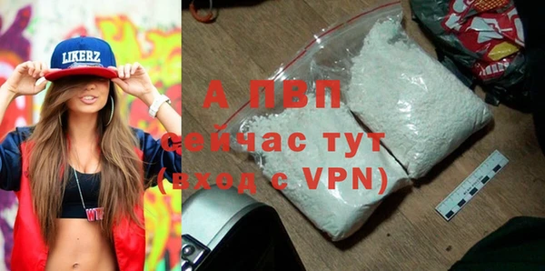 хмурый Бородино