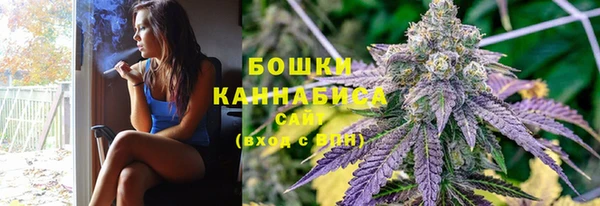 амф Богородицк