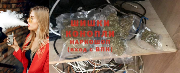 хмурый Бородино