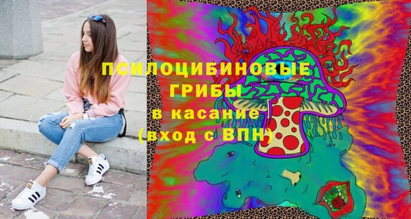 молекула духа Богданович