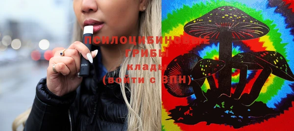 хмурый Бородино
